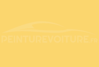 Code peinture Toyota 571 Yellow