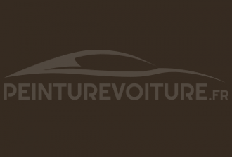 Code peinture Mitsubishi 573 Dourado Hamilton