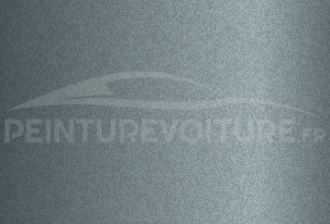 Code peinture Evo 58202 Silbergrau
