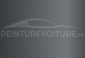 Code peinture Ford (Usa) 5874 Medium Charcoal