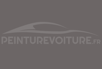 Code peinture Toyota 5923 Grayish Purple