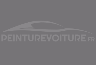 Code peinture Toyota 5924 Medium Gray