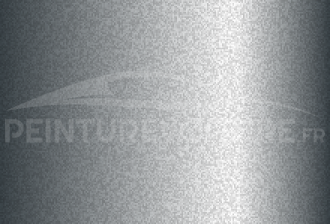 Code peinture Nissan 596 Silver