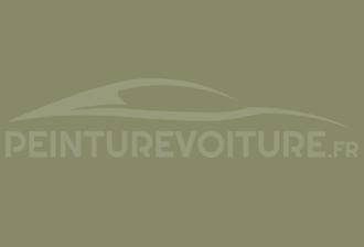 Code peinture Nissan 597 Olive
