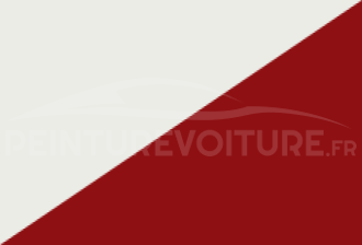 Code peinture Nissan 5K4 531 + Ag2