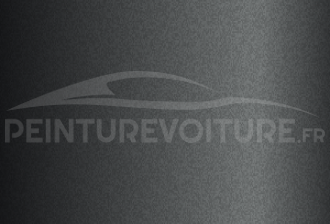 Code peinture Ford 5MVE Titanium Grey