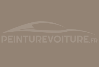 Code peinture Daihatsu 5T03 Brown