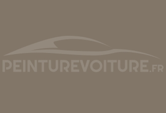 Code peinture Daihatsu 5T06 Brown