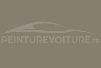 Code peinture Fiat 600/59 Grigio Ebanisteria