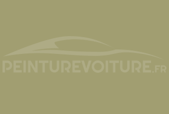 Code peinture Bmw 600 Caprigrun