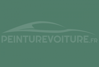 Code peinture Dacia 6000 Olive