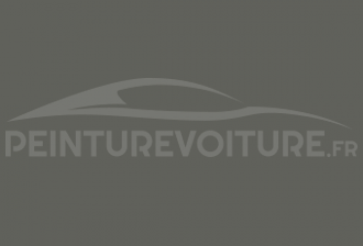 Code peinture Fiat 602/48 Grigio (ex 602/50)