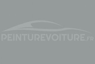 Code peinture Fiat 602/56 Grigio