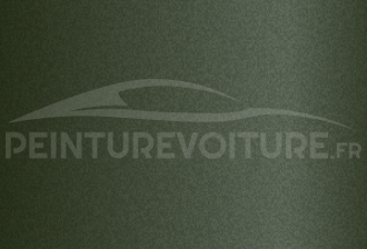 Code peinture Toyota 602 Green Currant