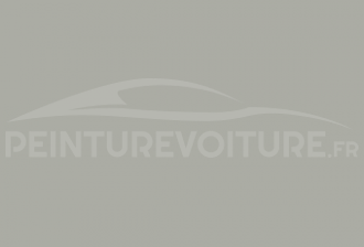 Code peinture Fiat 603 (0603) Grigio Betulla-escoli