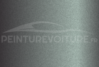 Code peinture Renault 603/99 Gris Hologramme
