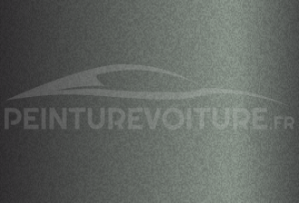 Code peinture Nissan 603 Gris Holograme