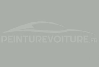 Code peinture Fiat 610/77 Grigio Ruote