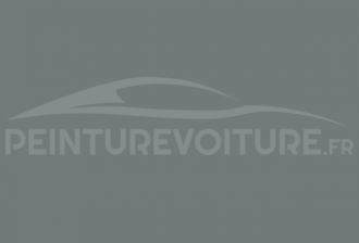 Code peinture Renault 610 Gris Clair