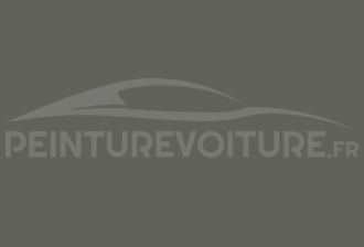 Code peinture Fiat 611/50 Grigio (furgone)
