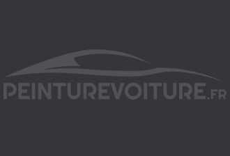 Code peinture Renault 612 Gris Matt (r 5-r 5 Turbo)