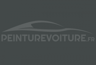 Code peinture Renault 615 Gris