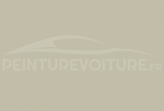 Code peinture Renault 617 Gris Blanc Valois