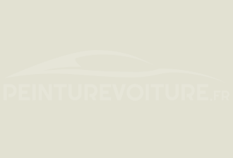 Code peinture Volvo 617 Nordic White