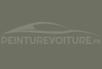 Code peinture Fiat 618 Grigio Oliva