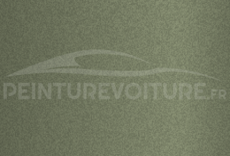 Code peinture Tata Motors 620 Marsh Green