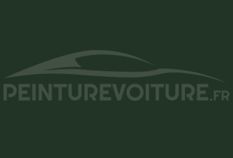 Code peinture Mercedes DB 295 (6295) Tannengruen