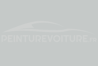 Code peinture Fiat 631/A Grigio Luce