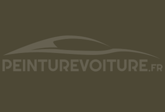 Code peinture Mercedes 6311 Kakteenolive