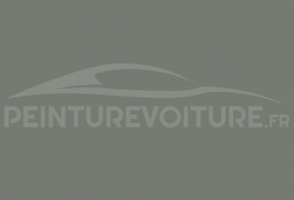 Code peinture Renault 635 Gris Pyramide