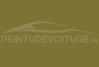 Code peinture Toyota 637 Olive Green