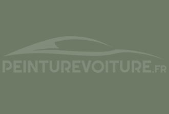 Code peinture Opel 641 Forstgrun-forest Green