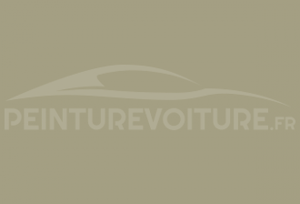 Code peinture Renault 645 Gris Sauge
