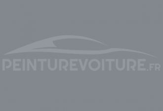 Code peinture Renault 647 Gris Clair