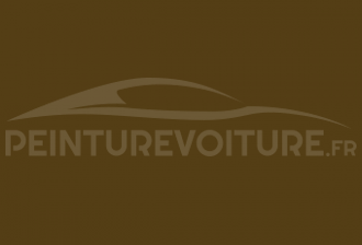 Code peinture Toyota 653 Olive-jeep Brown