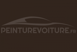 Code peinture Fiat 656/B Esmalte Marron Transporte
