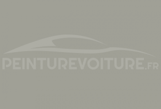 Code peinture Fiat 657-069/A Grigio Perla