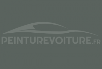 Code peinture Renault 658 Gris Pastel