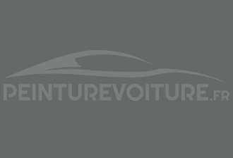 Code peinture Renault 658 Gris (v.i)