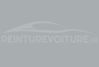 Code peinture Opel 661 British Telekomgrau