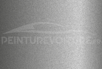 Code peinture Nissan 666 Light Grey Met