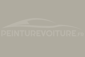 Code peinture Renault 667 Gris