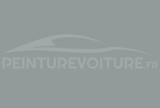Code peinture Fiat 671/74 Grigio Ruote
