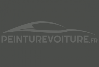 Code peinture Renault 685 Gris Montespan