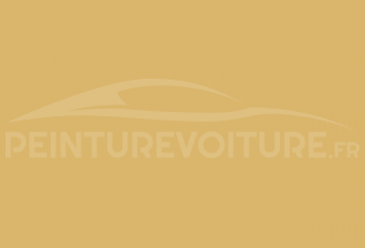 Code peinture Mercedes DB 695 (1695) Classic Yellow
