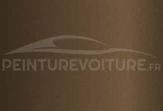 Code peinture Ford 695 Marrom Lontra Met